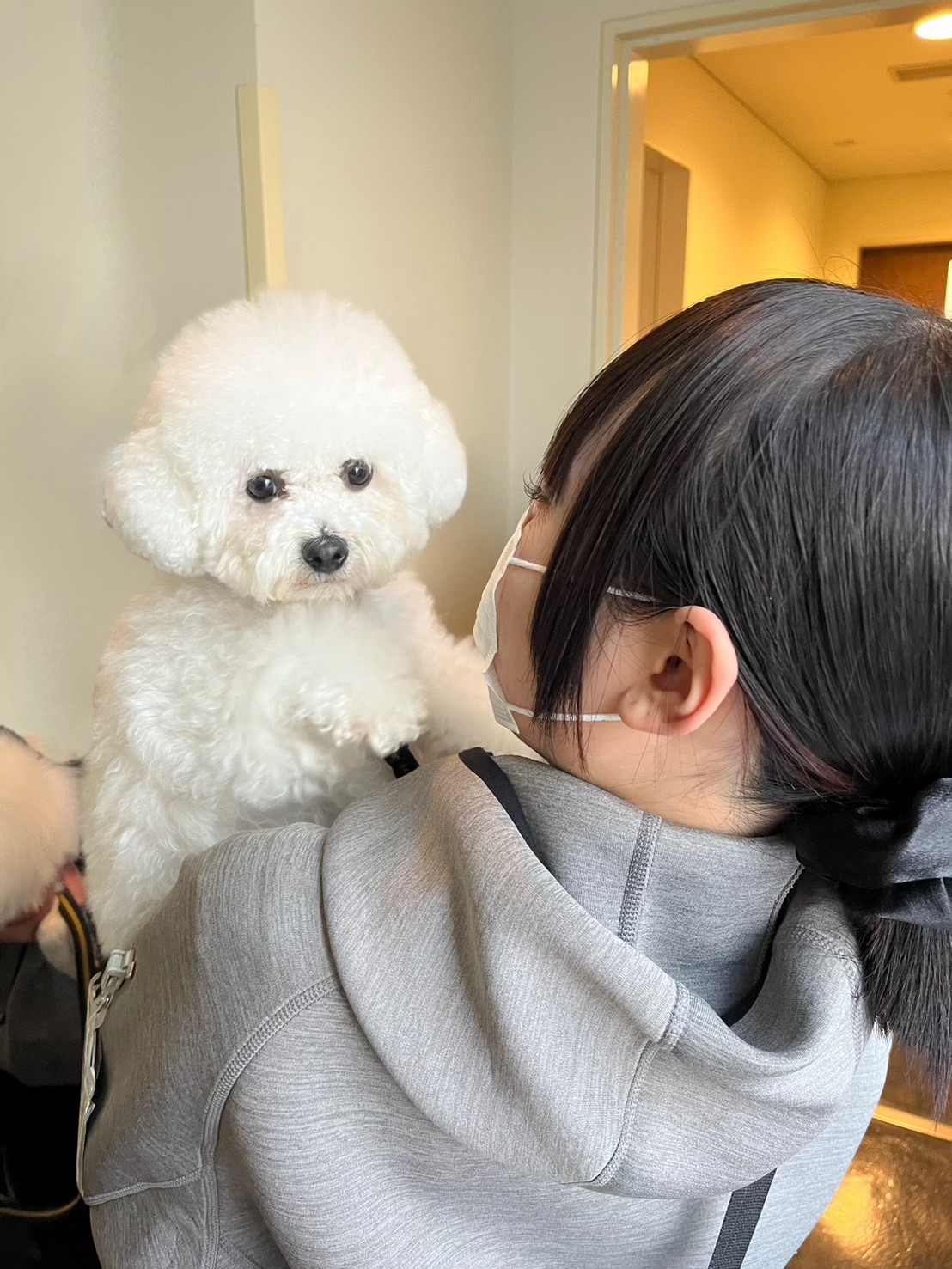 犬カフェにて